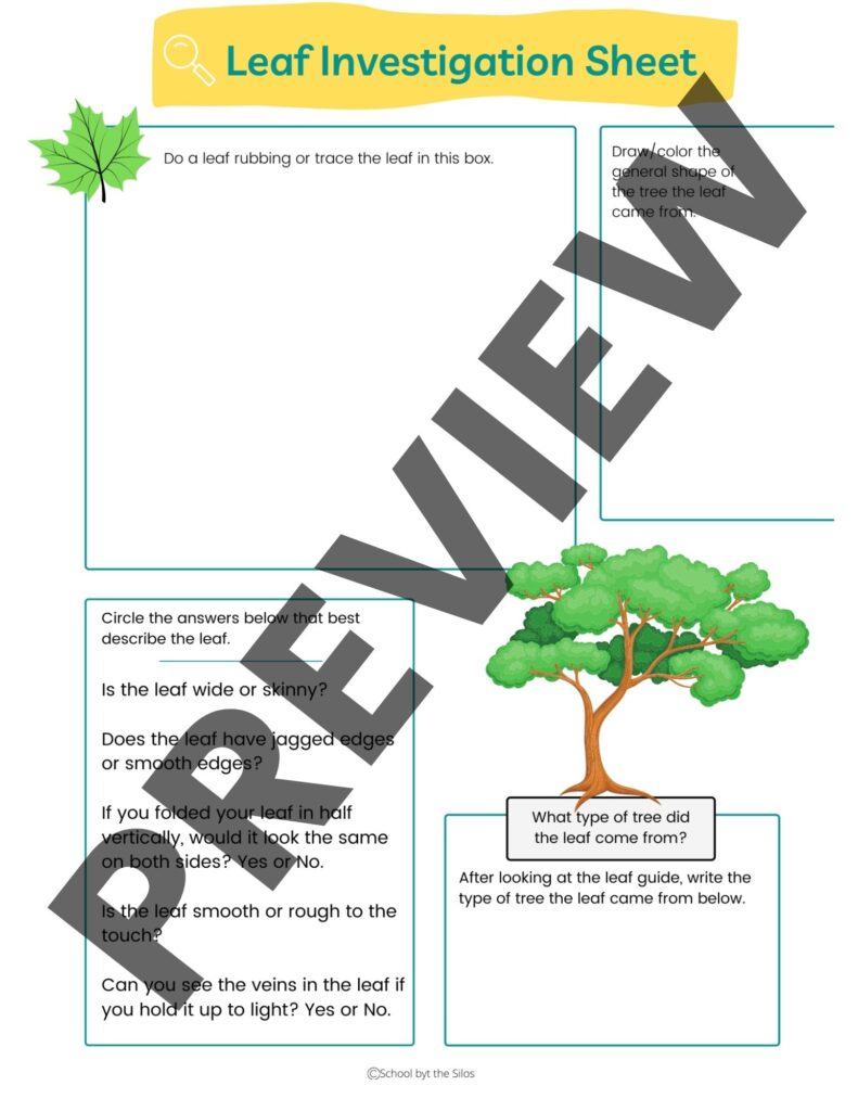 Leaf Investigation Sheet Preview