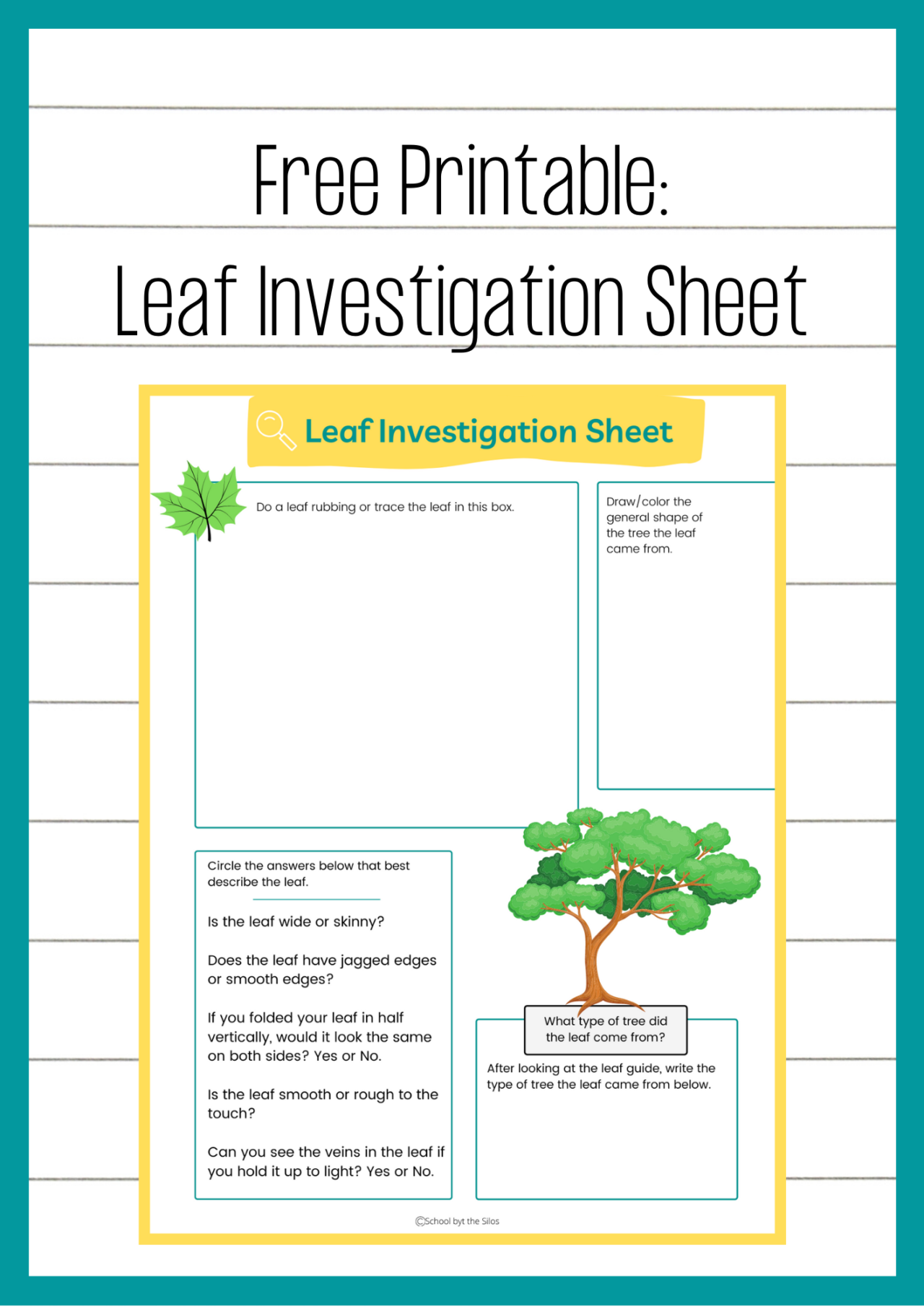 Leaf Investigation Sheet