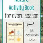 Every Season Nature Activity Book for Children