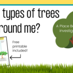 “What Trees are Around Me?” A Place Based Education Activity