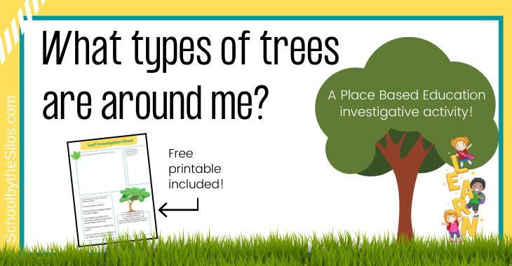 What types of trees are around me activity